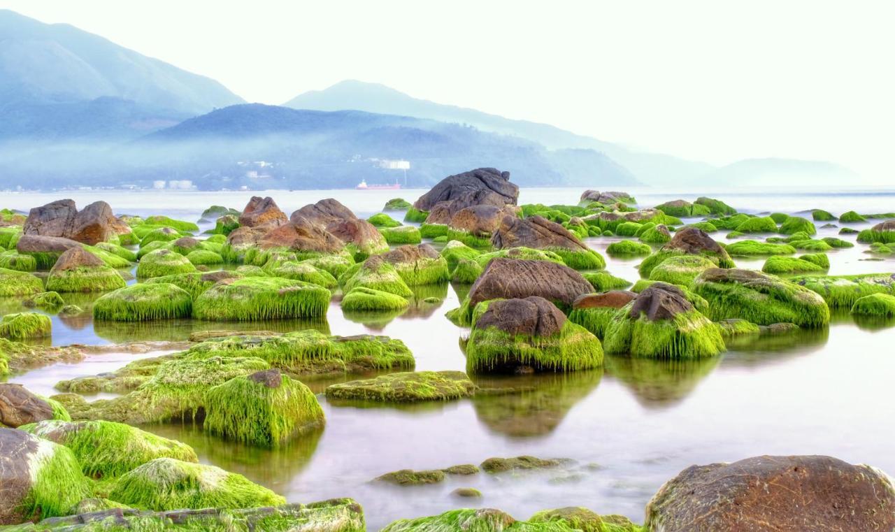 Bolero Beach Hotel & Homestay Da Nang Dış mekan fotoğraf